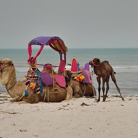 迈来亚 Dar El Kahina Djerba酒店 外观 照片