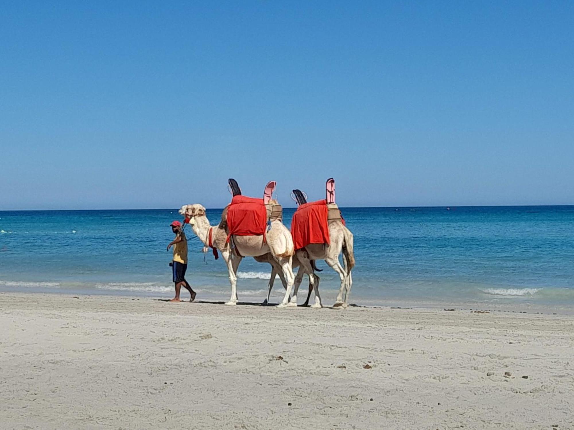 迈来亚 Dar El Kahina Djerba酒店 外观 照片